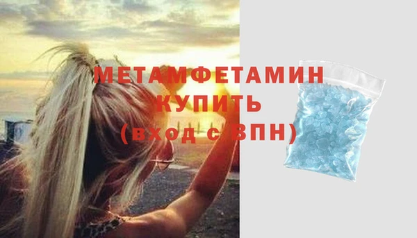 ПСИЛОЦИБИНОВЫЕ ГРИБЫ Осинники