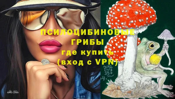ПСИЛОЦИБИНОВЫЕ ГРИБЫ Осинники