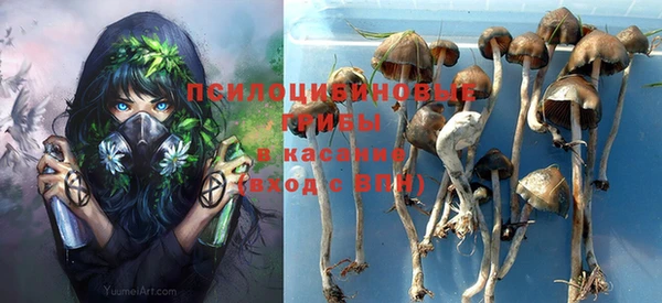 стаф Осташков