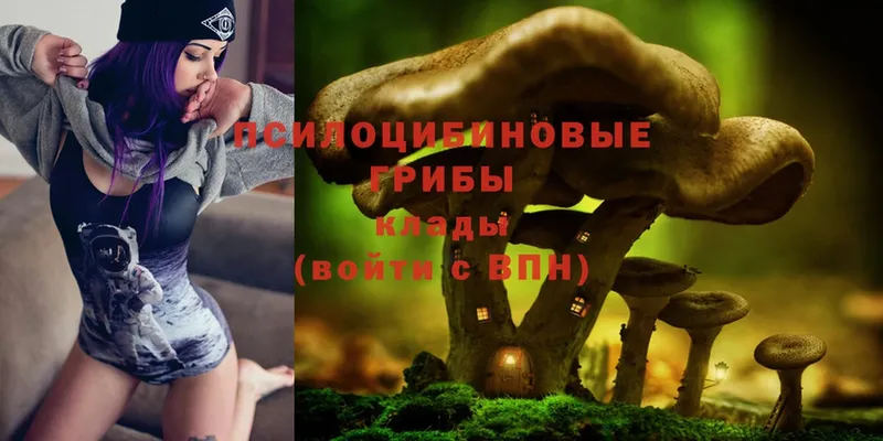 Галлюциногенные грибы Cubensis Ижевск