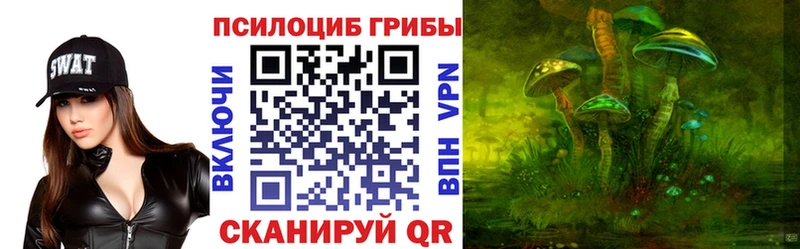 Псилоцибиновые грибы мицелий  это телеграм  Ижевск 