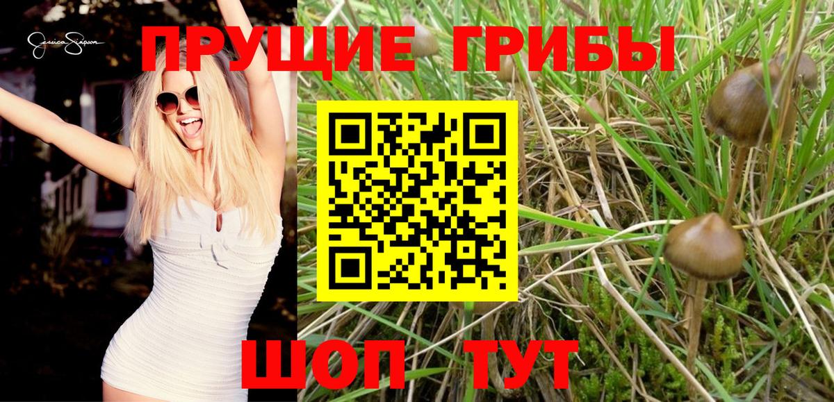 Галлюциногенные грибы прущие грибы  Вход с VPN  купить закладку  Ижевск 