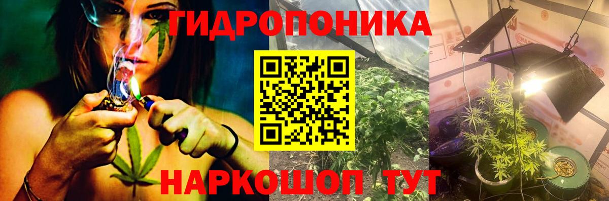 Канабис OG Kush Ижевск